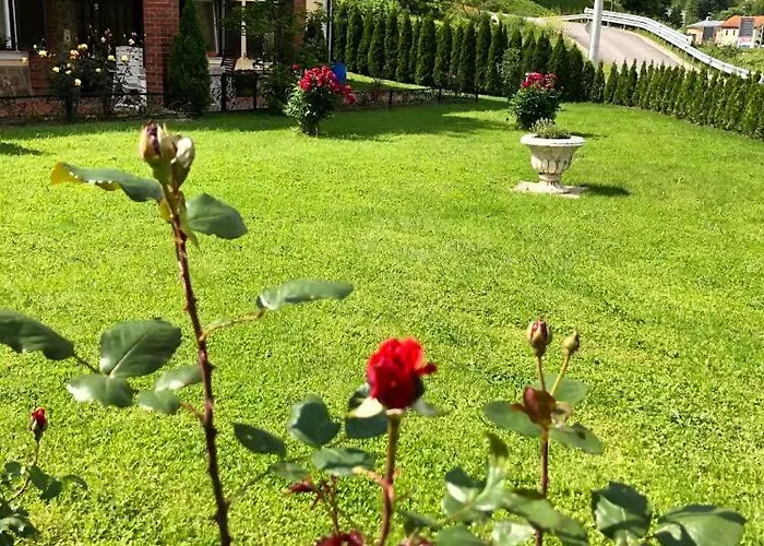 Appartamento Apartma Center *